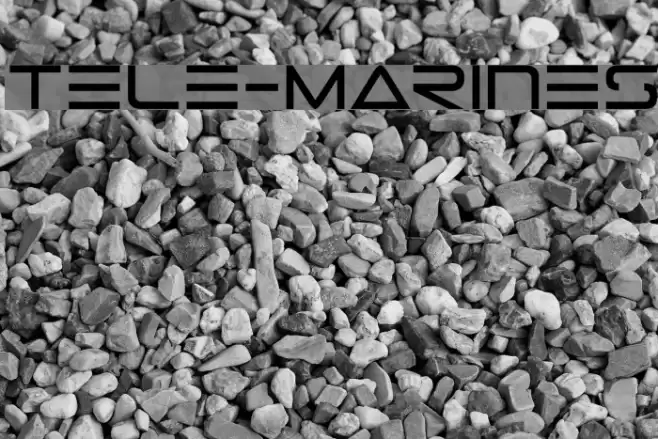 Tele-Marines Polices examples