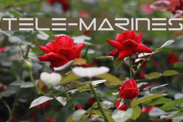 Tele-Marines Font examples