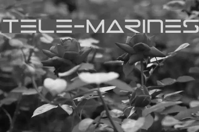 Tele-Marines Polices examples