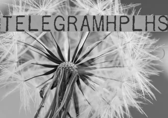 TelegramHPLHS Fuentes examples