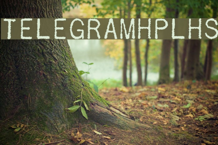 TelegramHPLHS Font examples