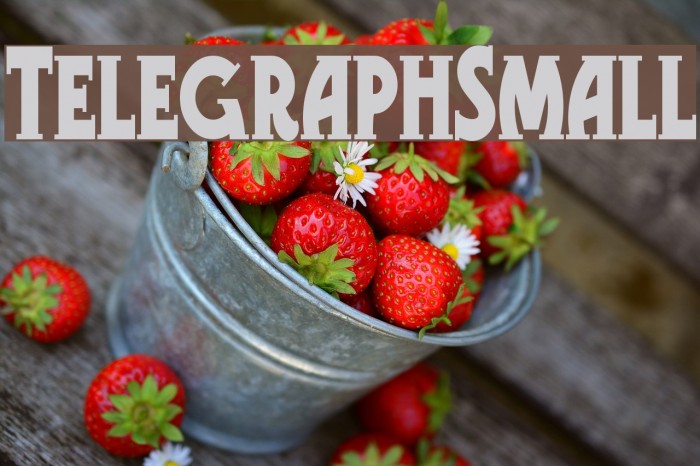 TelegraphSmall Font examples