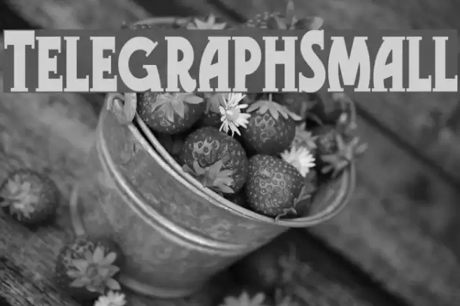 TelegraphSmall Font examples