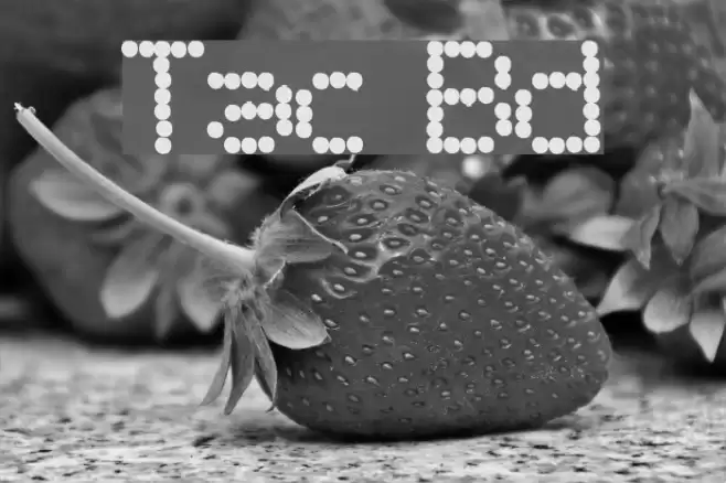 Telegraphic Bold Caratteri examples