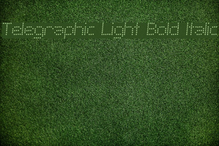 Telegraphic Light Bold Italic Font examples