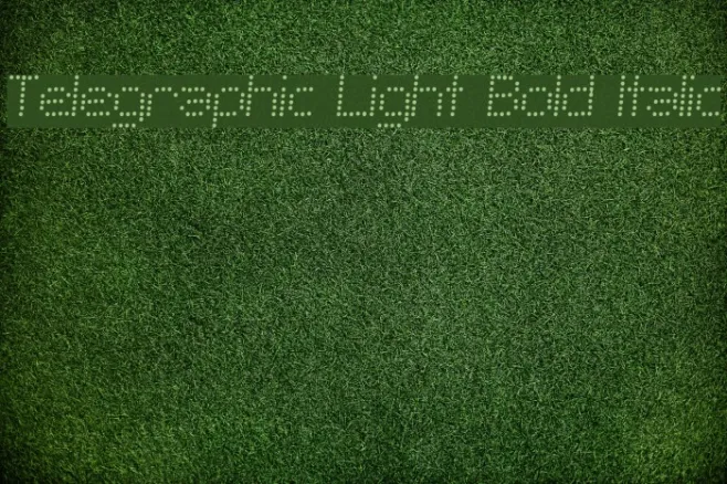 Telegraphic Light Bold Italic Example 1