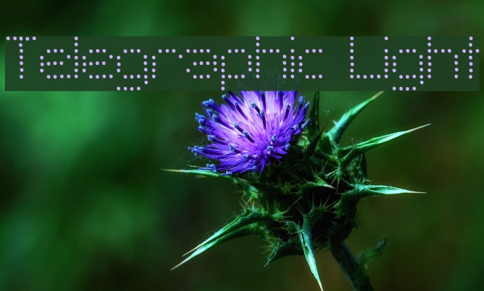 Telegraphic Light Schriftart examples
