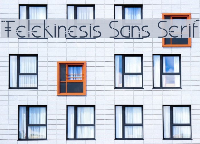 Telekinesis Sans Serif Font examples