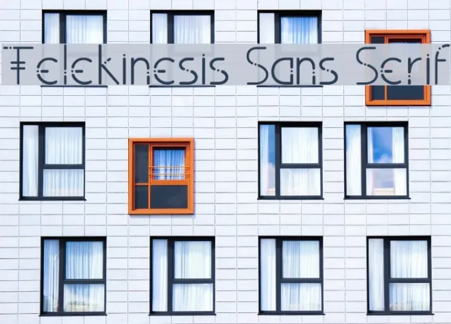 Telekinesis Sans Serif Example 1