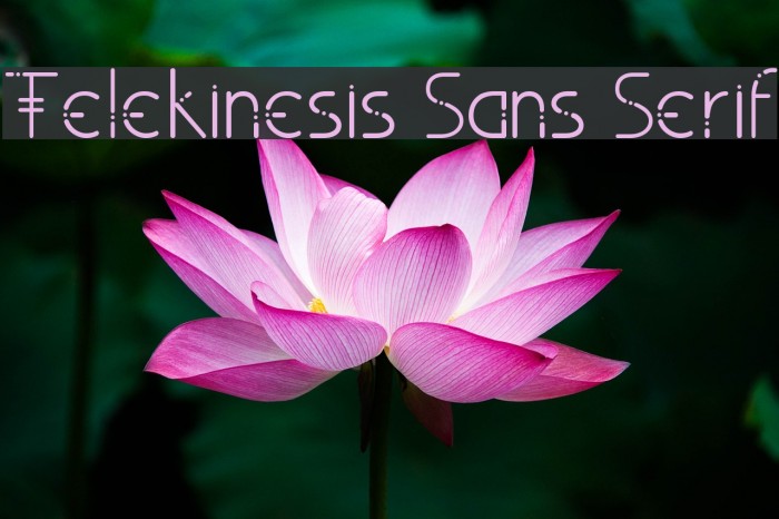 Telekinesis Sans Serif Font examples