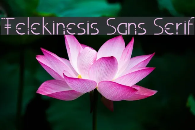 Telekinesis Sans Serif Example 3