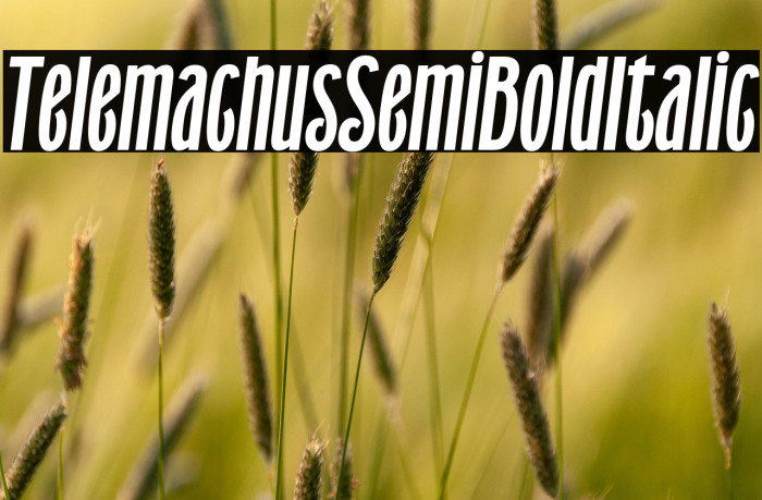 Telemachus Semi Bold Italic Example 2