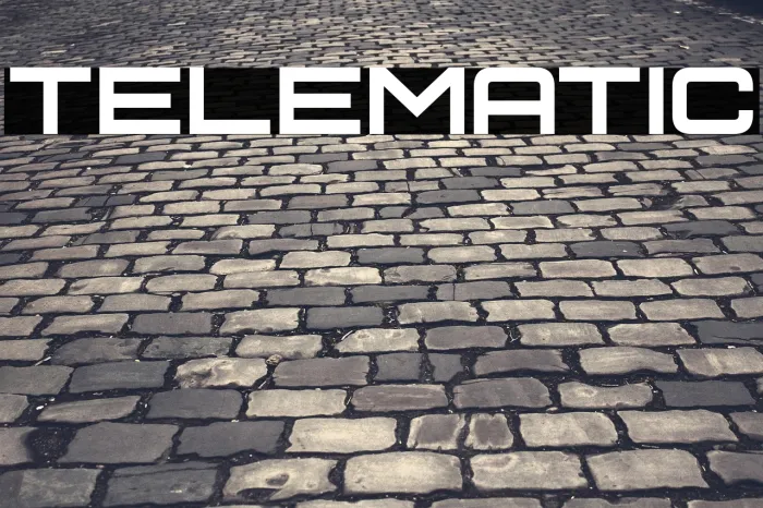 Telematic Example 1