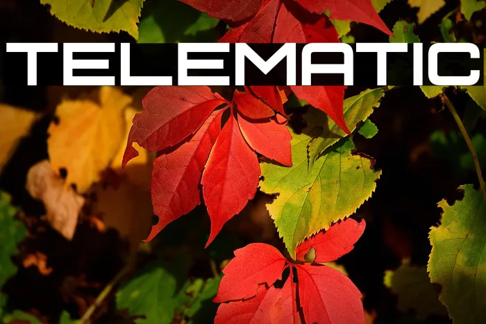 Telematic Example 2