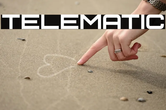 Telematic Example 3