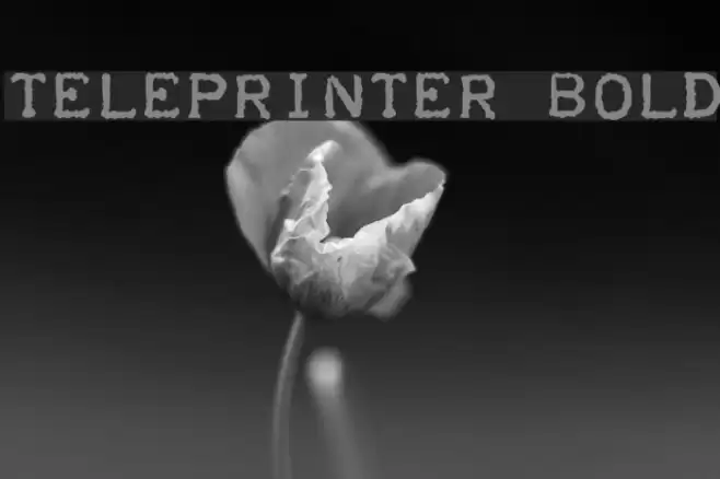 Teleprinter Bold Шрифта examples