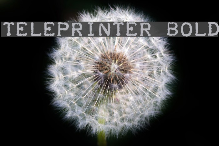 Teleprinter Bold Font examples
