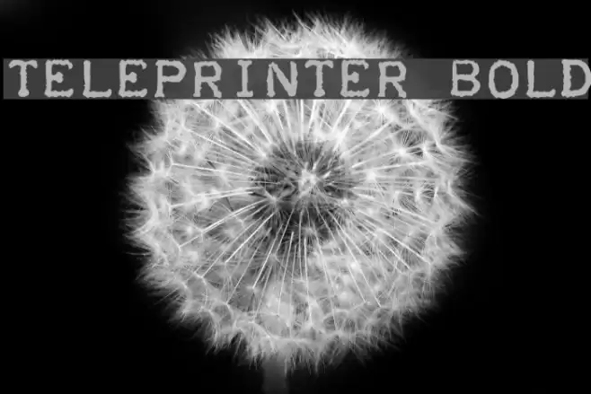 Teleprinter Bold Шрифта examples