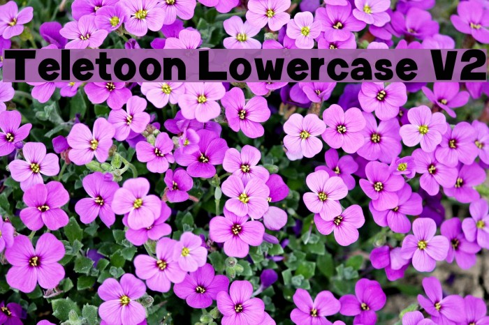 Teletoon Lowercase V2 Font examples