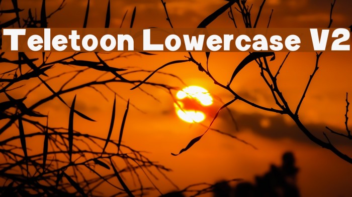 Teletoon Lowercase V2 Font examples