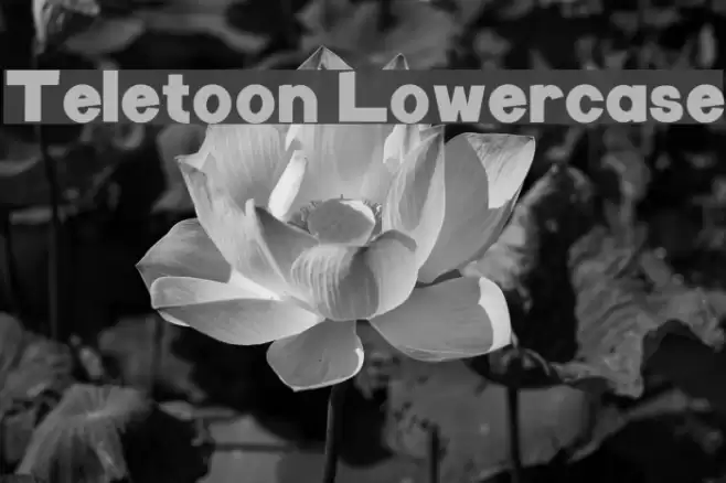 Teletoon Lowercase Font examples