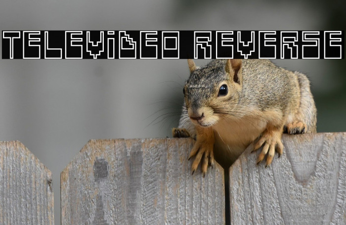 Televideo Reverse Example 2