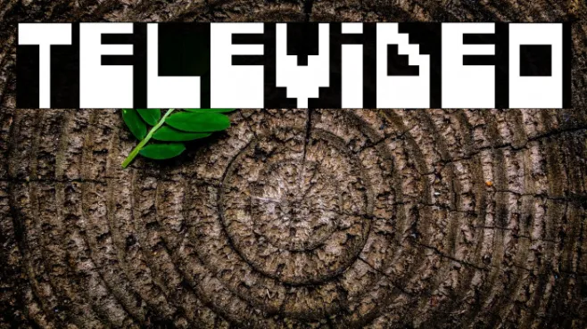 Televideo Example 1