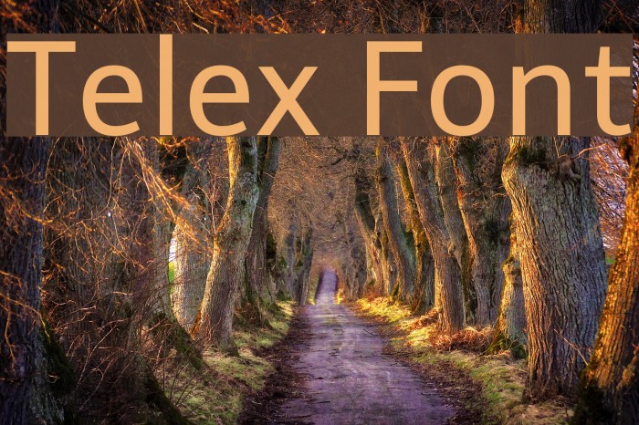Telex Font examples