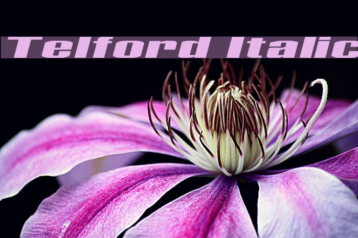 Telford Italic Example 1