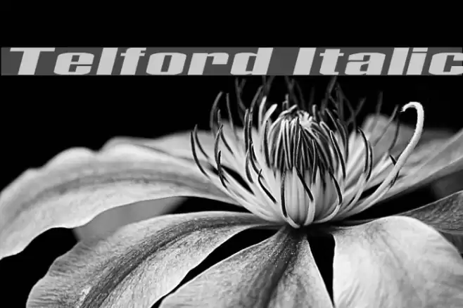Telford Italic Font examples