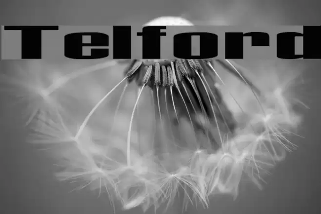 Telford Font examples