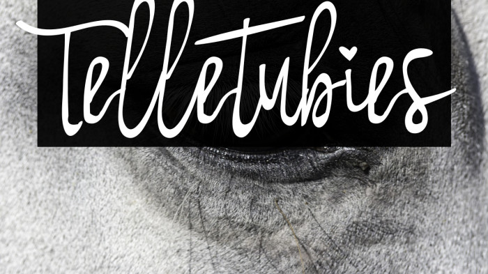 Telletubies Example 1