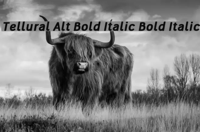 Tellural Alt Bold Italic Bold Italic  examples