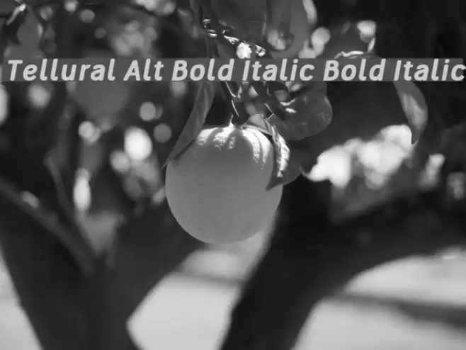 Tellural Alt Bold Italic Bold Italic  examples
