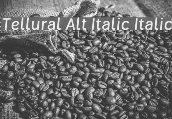 Tellural Alt Italic Italic Font examples