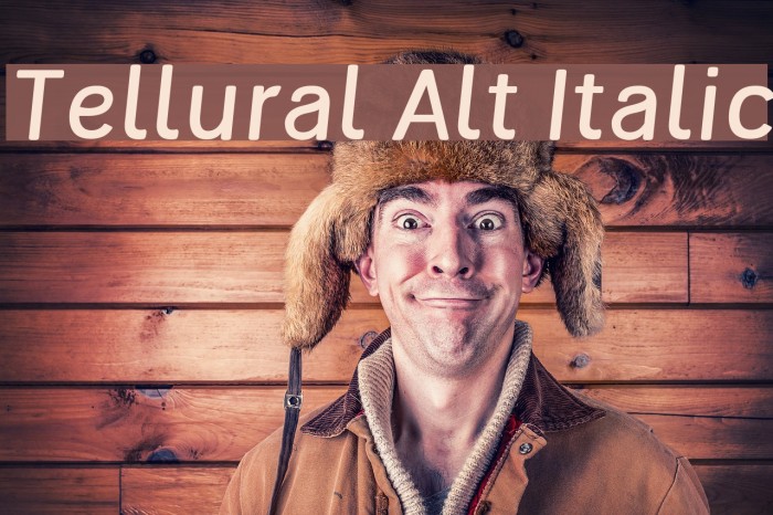 Tellural Alt Italic Font examples