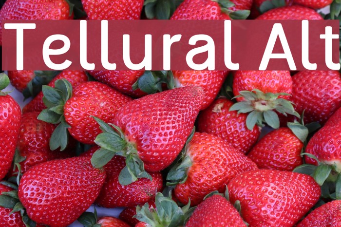 Tellural Alt Font examples