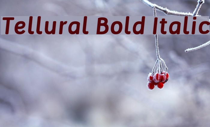 Tellural Bold Italic Font examples