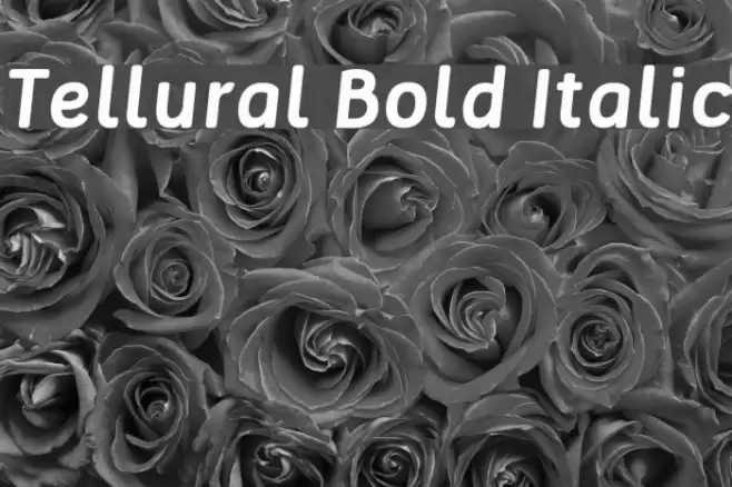 Tellural Bold Italic Font examples