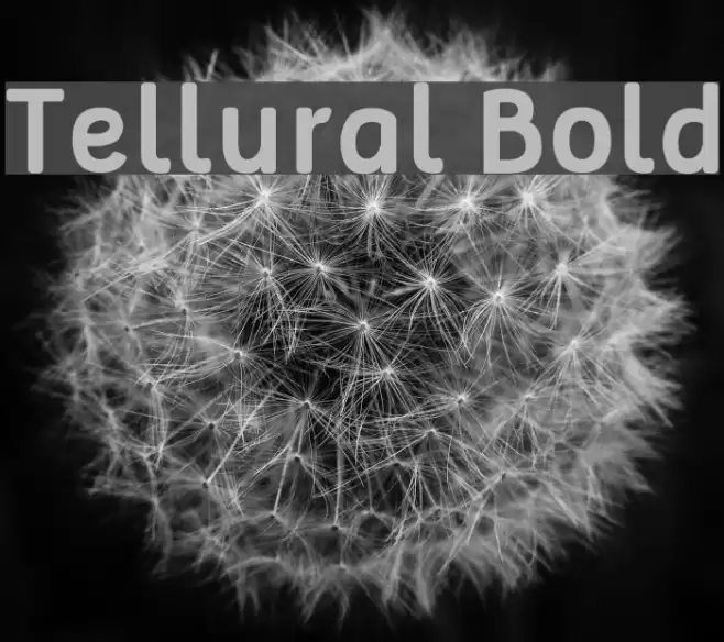 Tellural Bold Font examples