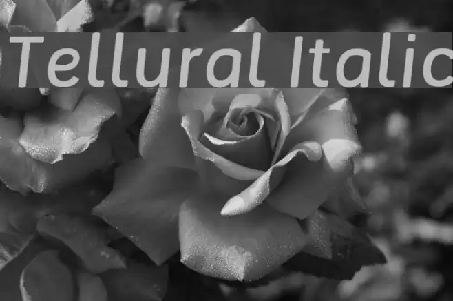 Tellural Italic Font examples
