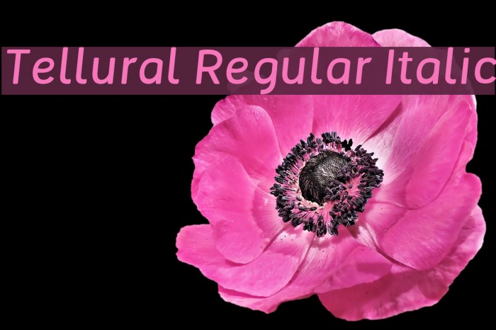 Tellural Regular Italic Font examples