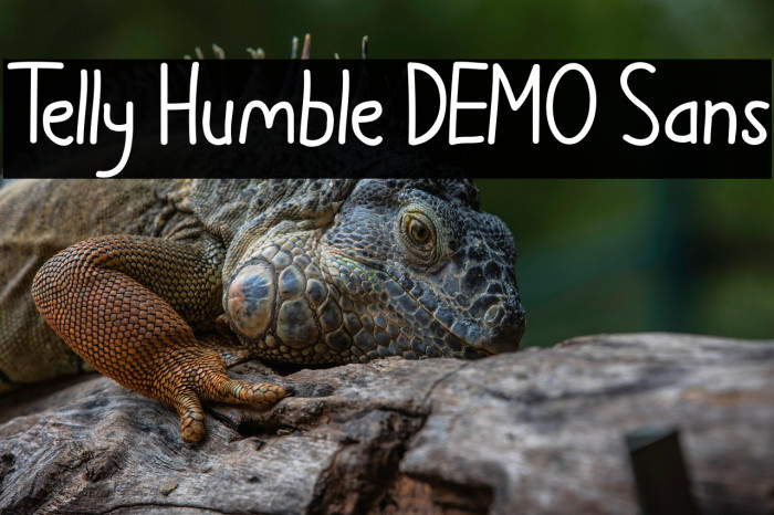 Telly Humble DEMO Sans Example 2