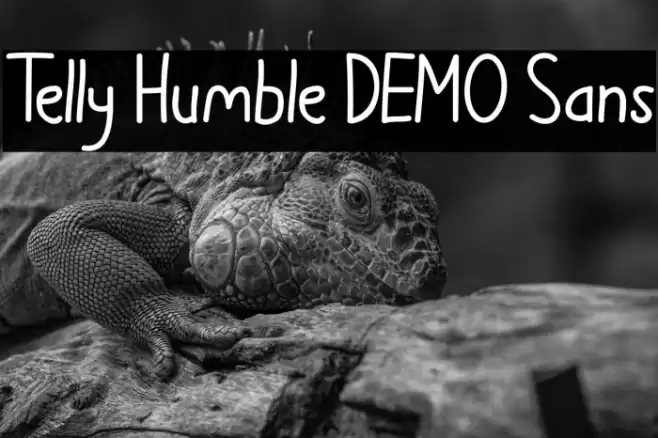 Telly Humble DEMO Sans Font examples