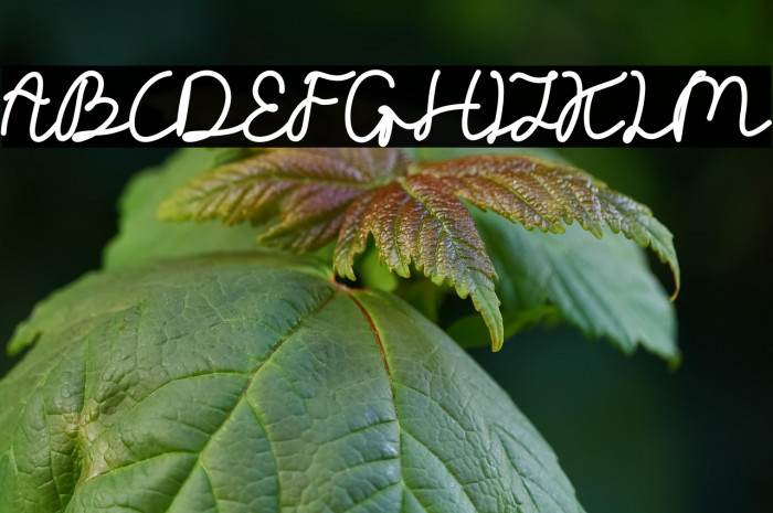 Telly Humble DEMO Example 3