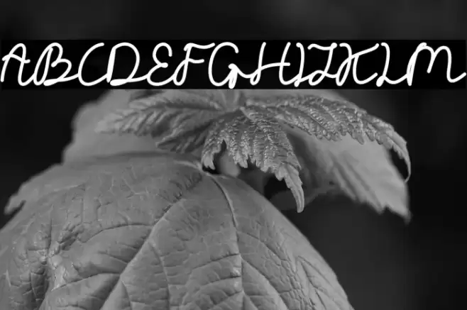 Telly Humble DEMO Font examples