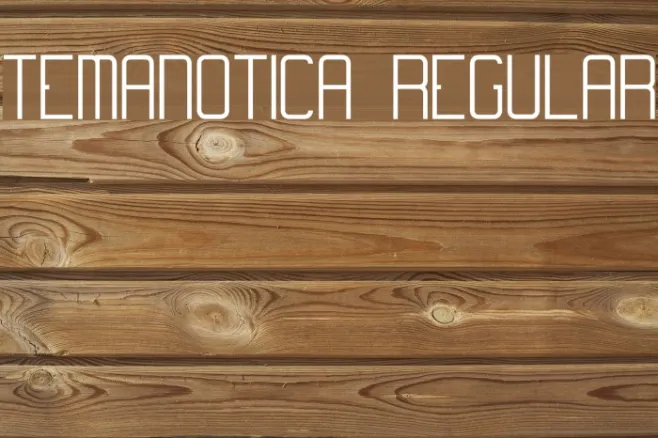 Temanotica Regular Example 3