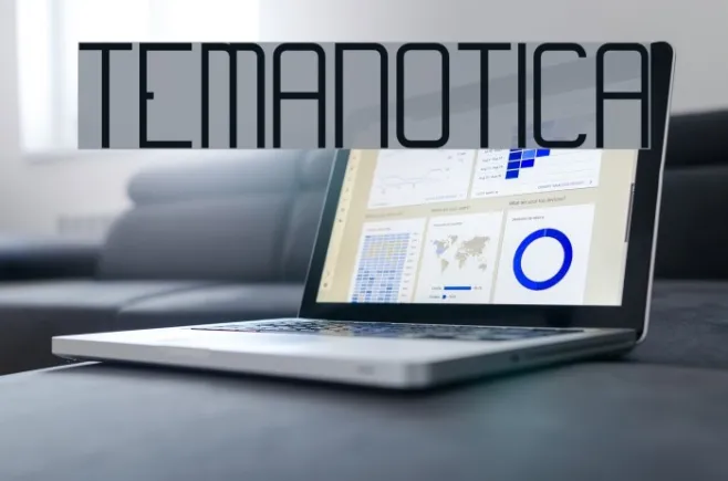 Temanotica Example 1