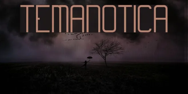 Temanotica Example 2