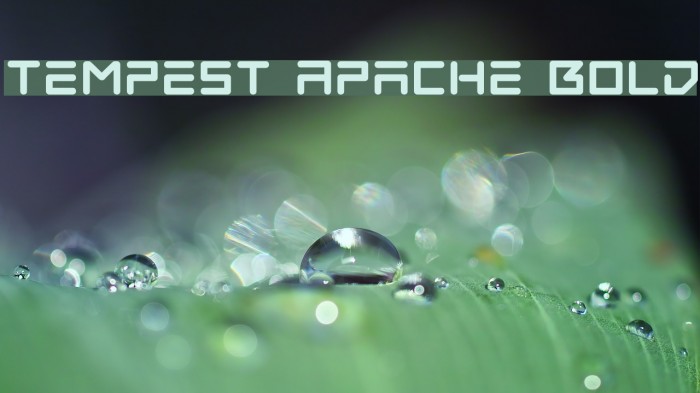 Tempest Apache Bold Font examples
